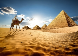 Pyramids of Giza Memphis and Sakkara including Lunch