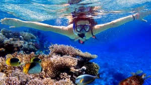 Sharm el Sheikh Shore Excursion: Red Sea Cruise and Snorkeling at Ras Mohamed National Park
