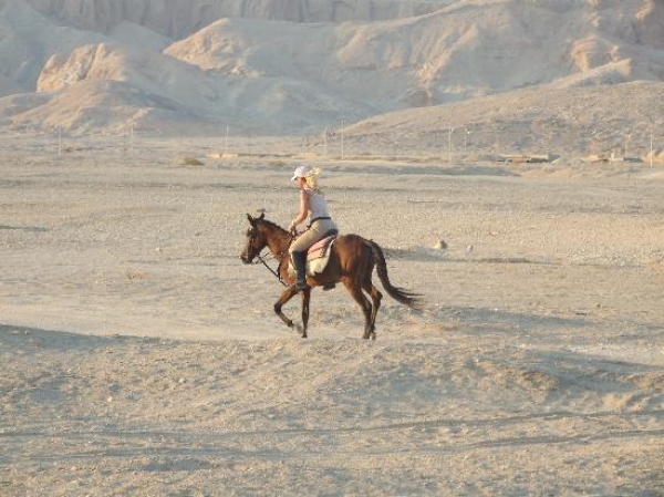 Horseback Camel or Donkey Ride Along the West Bank