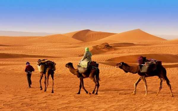 Sharm El Sheikh Camel Safari