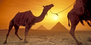 Private Transfer from Giza to Cairo Airport