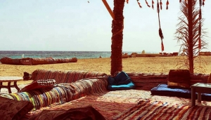 Private Tour: Sinai Jeep Safari, Abu Galum Snorkeling, Camel Ride and Bedouin Lunch